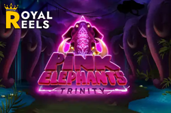 pink elephants trinity